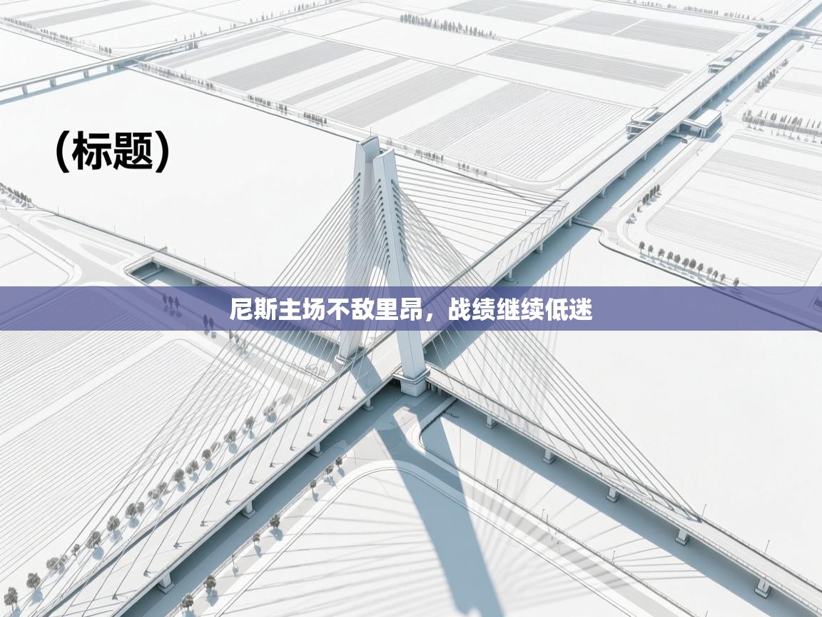 尼斯主场不敌里昂,战绩继续低迷 第2张