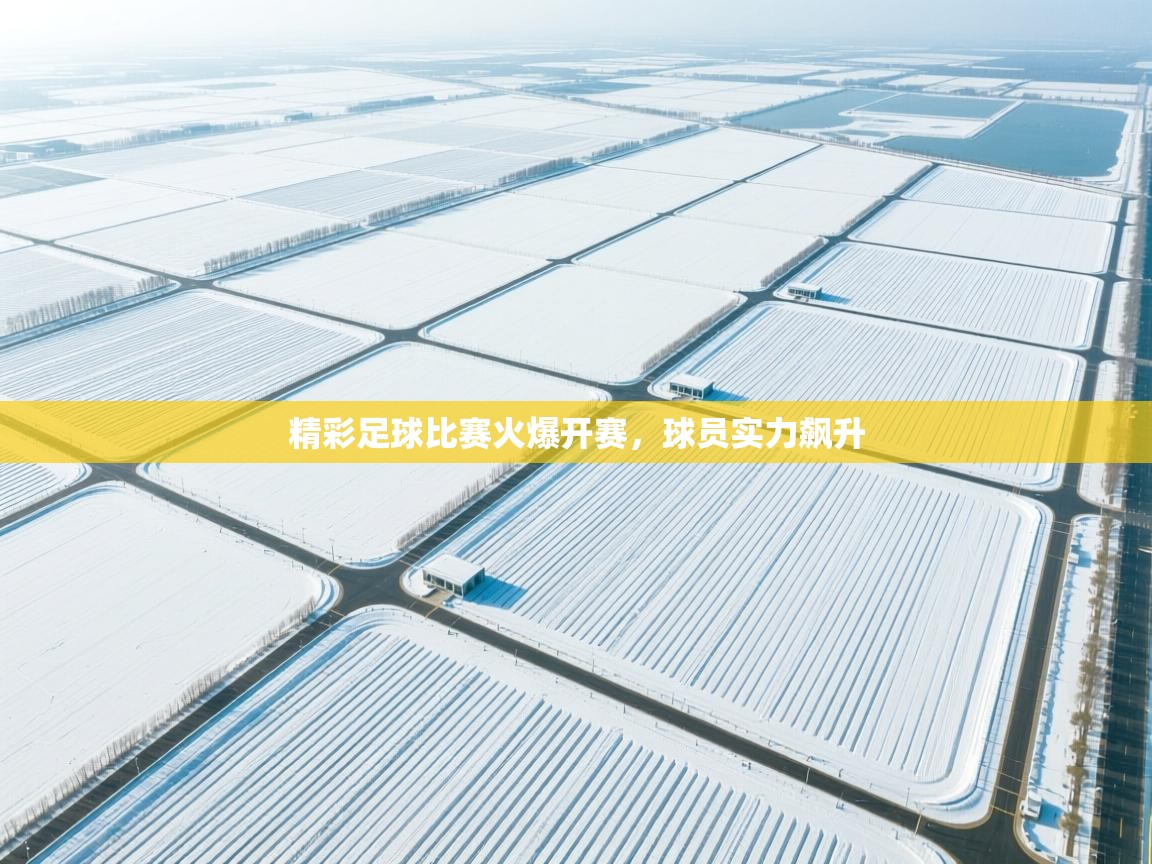 精彩足球比赛火爆开赛，球员实力飙升  第2张