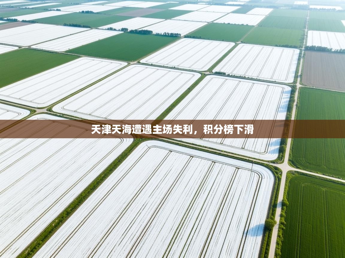 天津天海遭遇主场失利,积分榜下滑 第2张