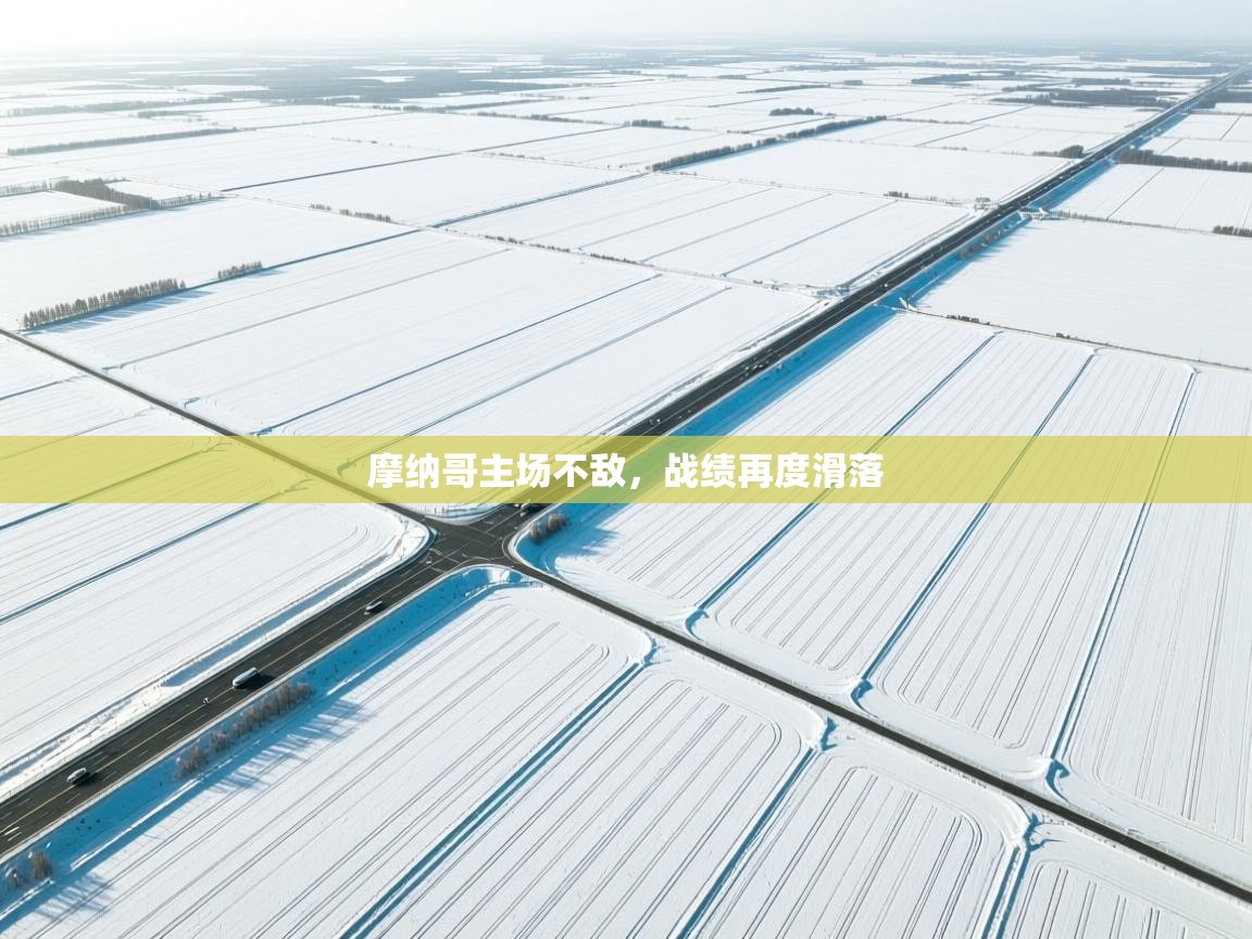 摩纳哥主场不敌,战绩再度滑落 第2张