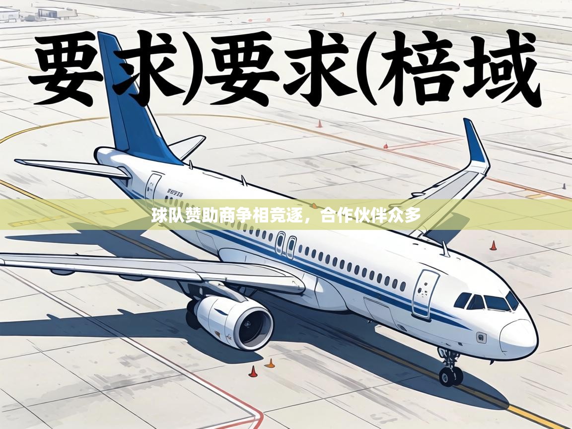 球队赞助商争相竞逐，合作伙伴众多  第1张